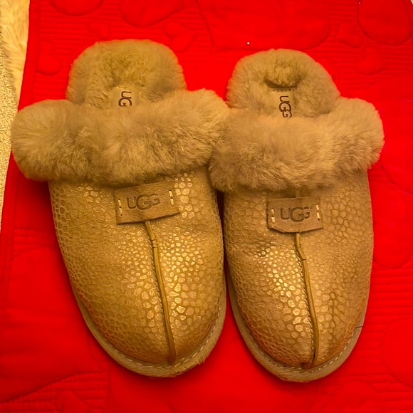 UGG Shoes - UGG Slippers
